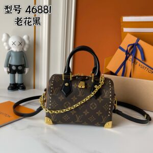 LV exquisite bag