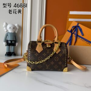 LV exquisite bag